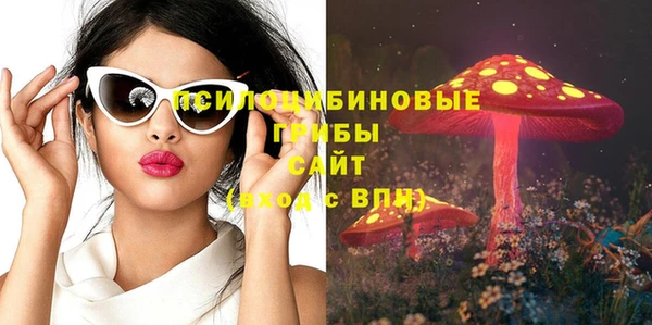 скорость Алзамай
