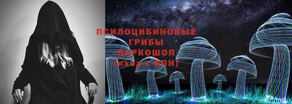 ГАЛЛЮЦИНОГЕННЫЕ ГРИБЫ Алексин