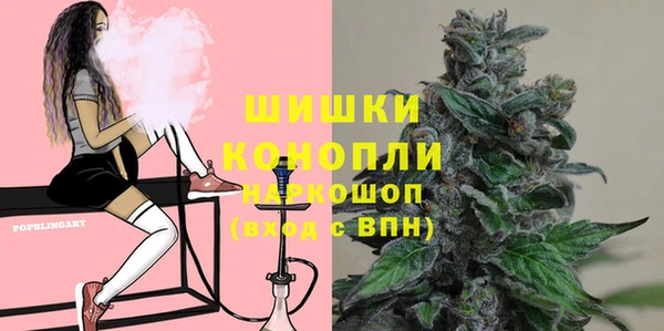 ГАЛЛЮЦИНОГЕННЫЕ ГРИБЫ Алексин